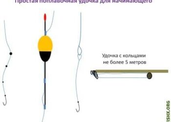 Рыбалка на поплавок