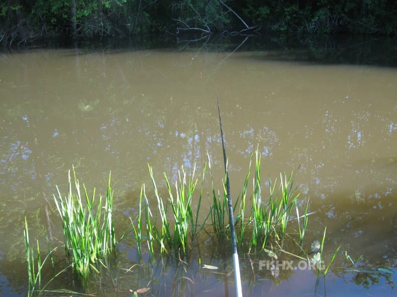 Маховая удочка: классификация и оснащение